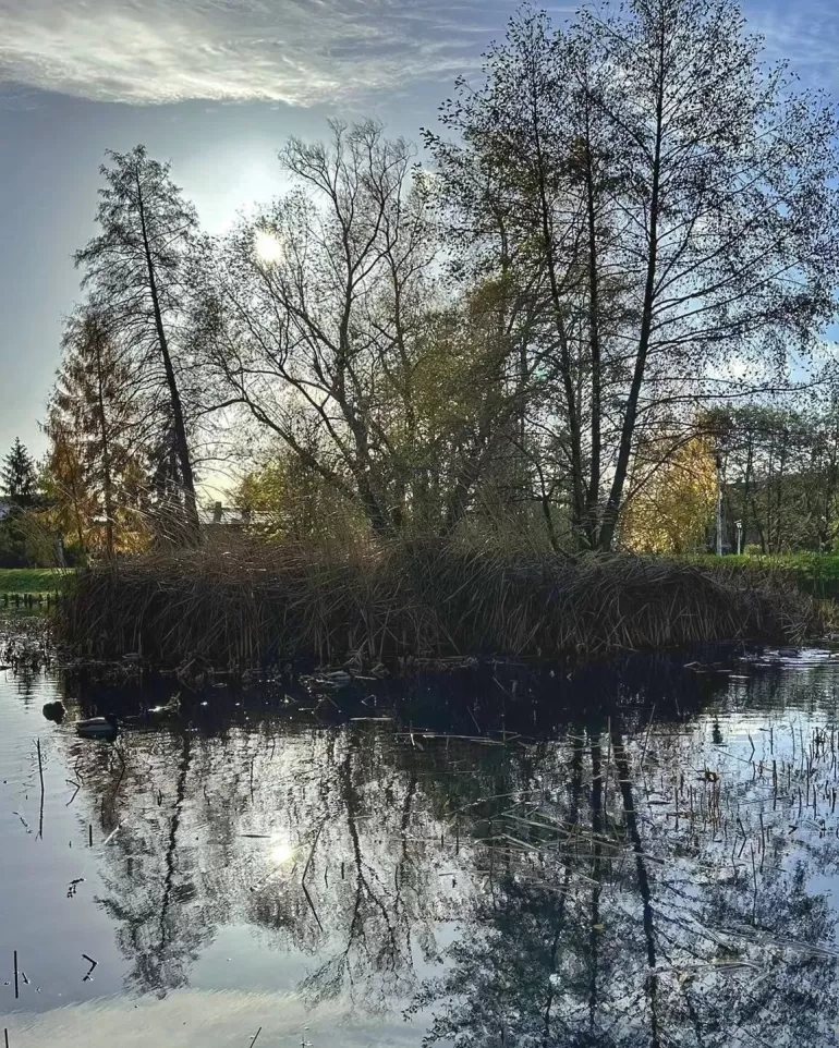 terazwtychach,tychy,franciszkanietychy,park,listopad,piateo,silesia,fotodnia,instagram