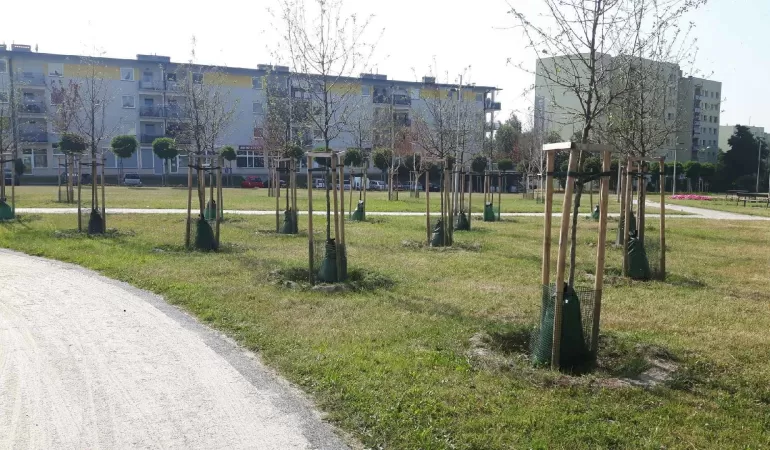W tyskim parku pojawiły się worki nawadniające drz