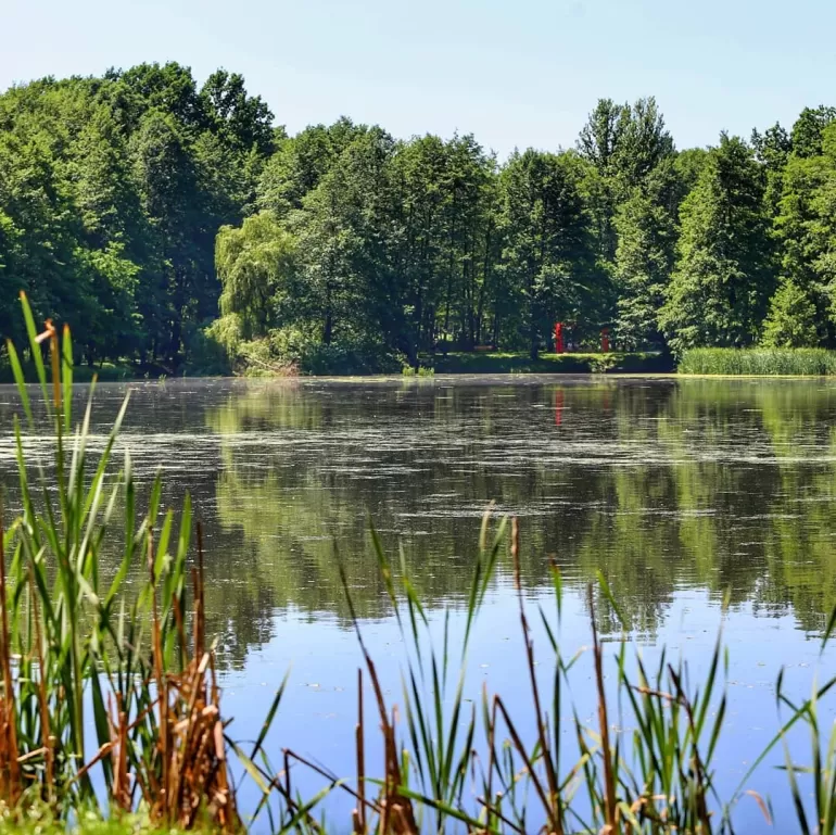 tychy,parkpolnocny,spacer,lato,wakacje,slonce,silesia,lovesilesia,fotodnia,instagram