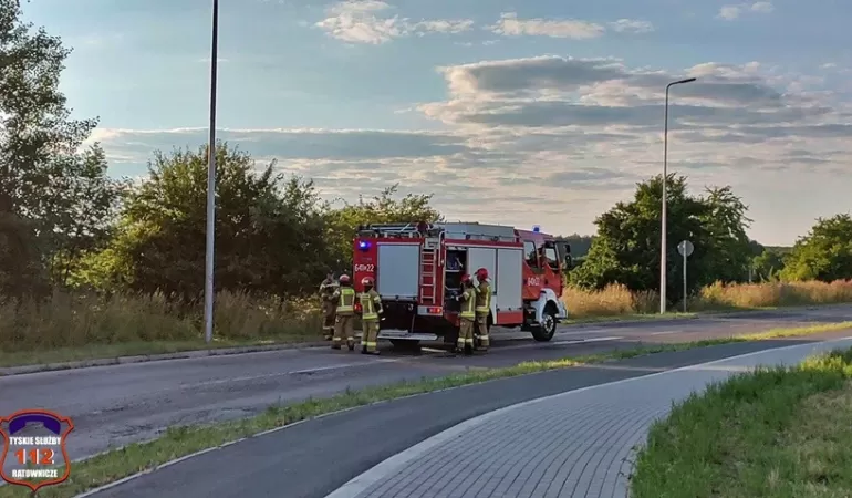 Ognisko pozostawione bez dozoru. Interwencja strażaków - 02.07.2023