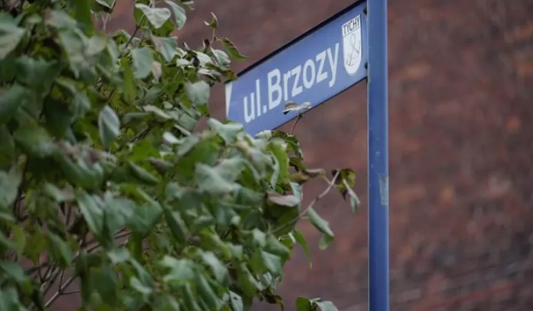 ulica brzozowa
