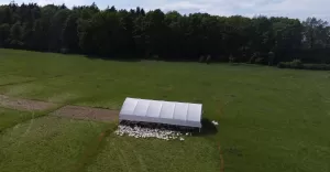Manufaktura DObra - ekologiczna hodowla na pastwiskach