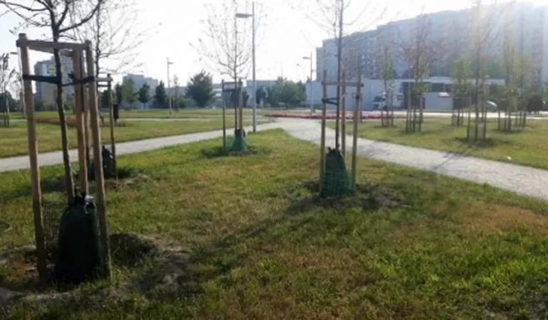 W tyskim parku pojawiły się worki nawadniające drz