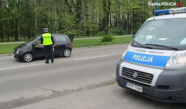 Policjanci sprawdzają trzeźwość kierowców na ulica, ilustracja , policja