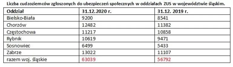 liczba cudzoziemców zus