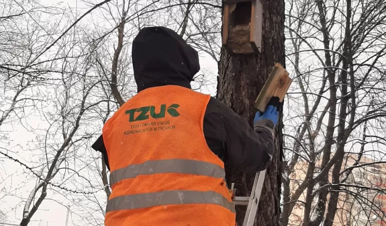 Zrzut ekranu 2022-03-08 161437