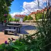 Od klasyki po muzykę rozrywkową. Plenerowe koncerty na Baczu!