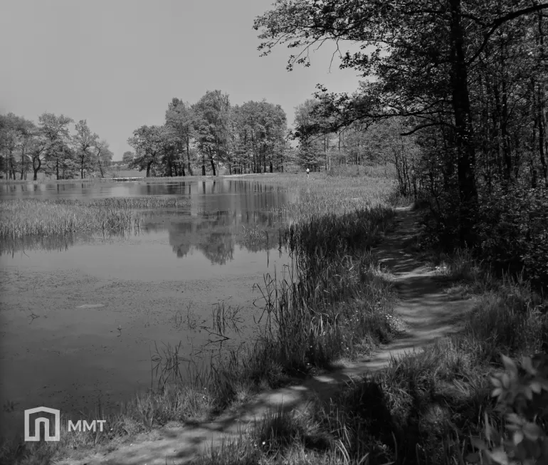 Staw w Parku Północnym ok. 1965 r.