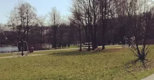 tychy,park,parkpolnocny,spacer,wiosna,słońce,kwiecien,silesia,fotodnia,instagram