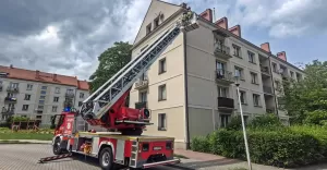 Uwięziony ptak na budynku przy ul. Cyganerii - interwencja strażaków