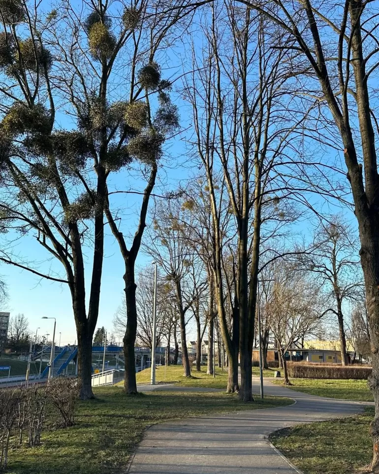 Tychy,terazwtychach,fotodnia,instagram