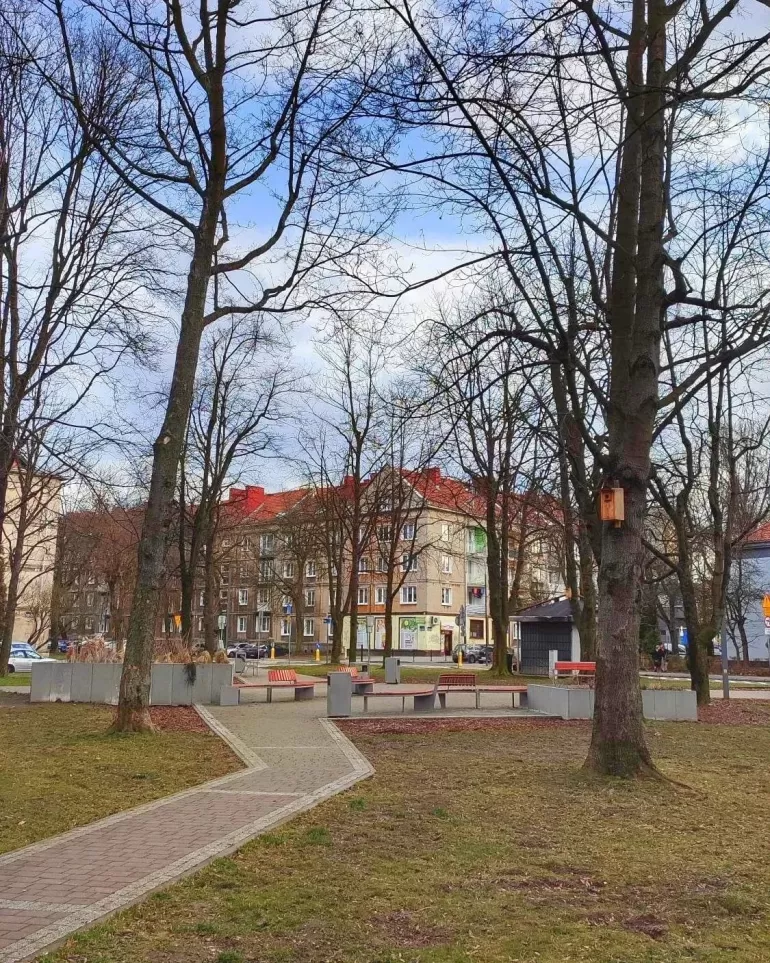 tychy,skwer,spacer,marzec2023,byledowiosny,silesia,lovesilesia,fotodnia,instagram