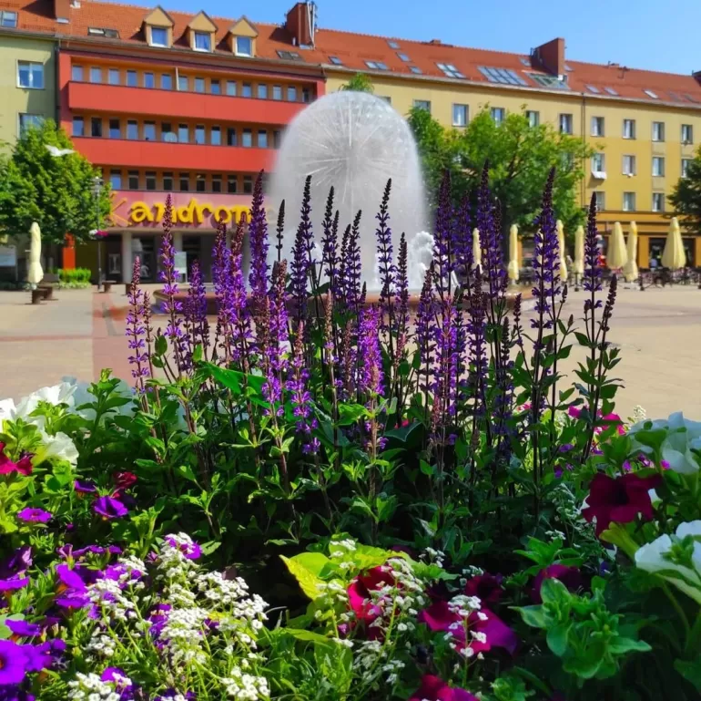 tychy,terazwtychach,placbaczyńskiego,fontanna,andromeda,kwiaty,czerwiec2021,silesia,lovesilesia,fo