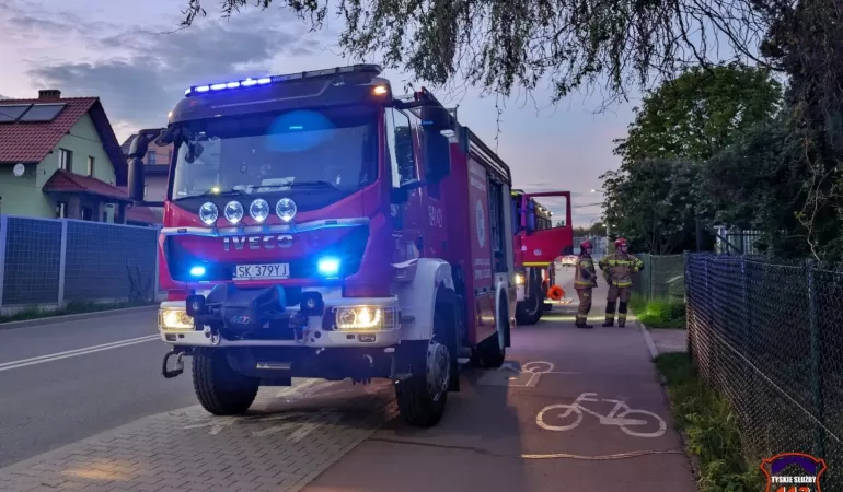 Pożar altany na ROD „Róża” przy ul. Jaworowej