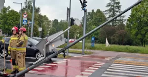 W wyniku zderzenia Seat skosił znaki drogowe oraz słup sygnalizacji świetlnej - 22.05.2025