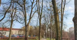 terazwtychach,tychy,tychyzachodnie,wiosna,silesia,lovesilesia,fotodnia,instagram