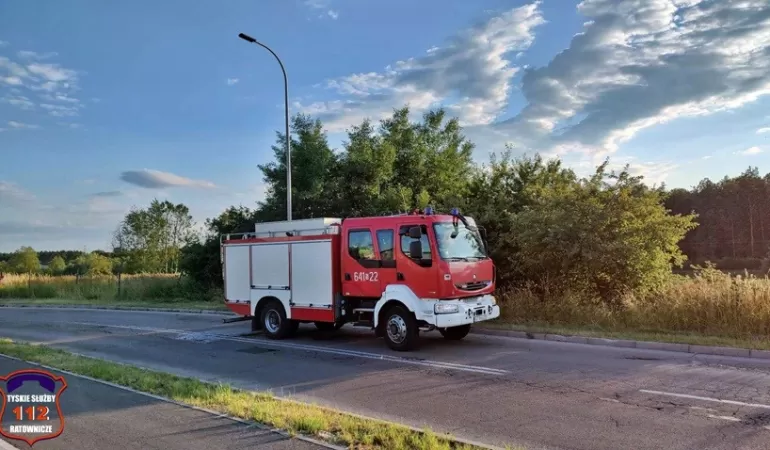 Ognisko pozostawione bez dozoru. Interwencja strażaków - 02.07.2023
