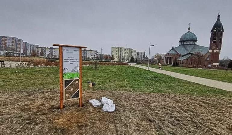 Na łące kwietnej w Parku bł. Karoliny stanął domek dla owadów