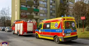13-latka potrzebowała pomocy. Na miejscu zastępy strażaków - 17.03.2023