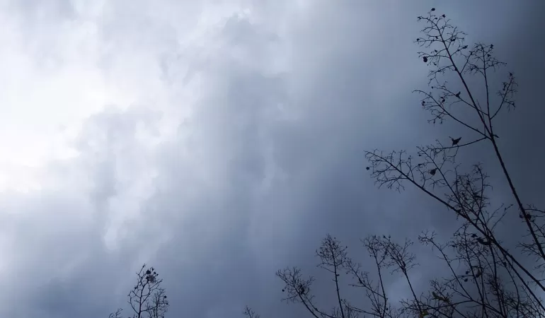 wiatr, wichura, pogoda
