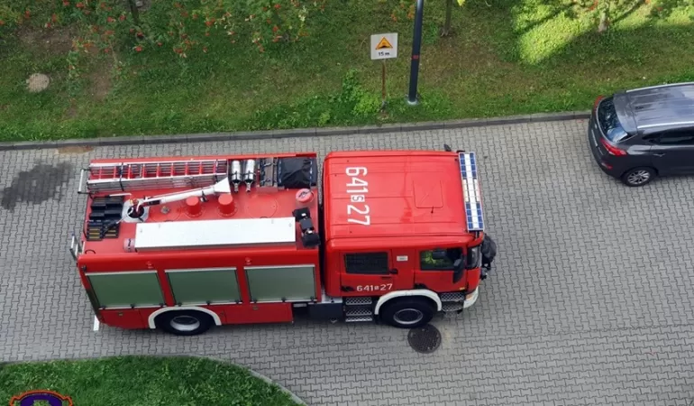 Wezwali służby, bo myśleli, że potrzebuje pomocy