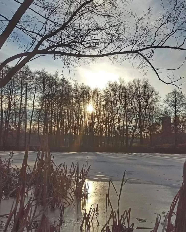 tychy,parklabedzi,park,spacer,grudzien2020,terazwtychach,silesia,lovesilesia,fotodnia,instagram