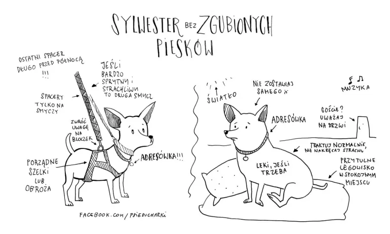 schronisko tychy sylwester