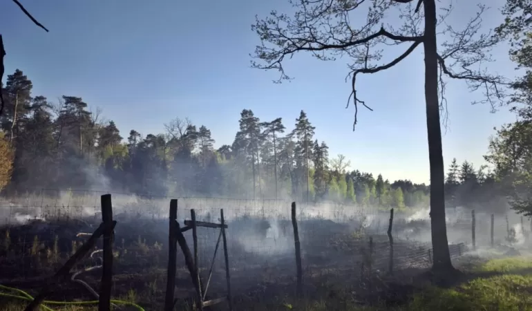 Pożar lasu przy al. Bielskiej. Do działań zadysponowano samolot Dromader