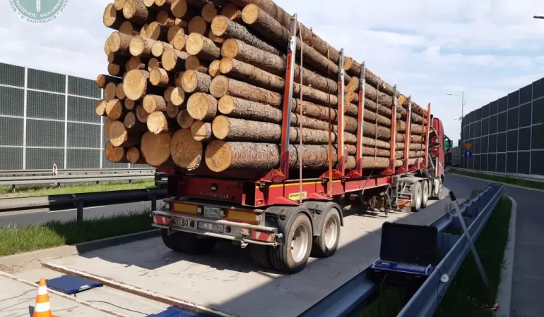 60-tonowa ciężarówka z drewnem wyeliminowana z ruchu