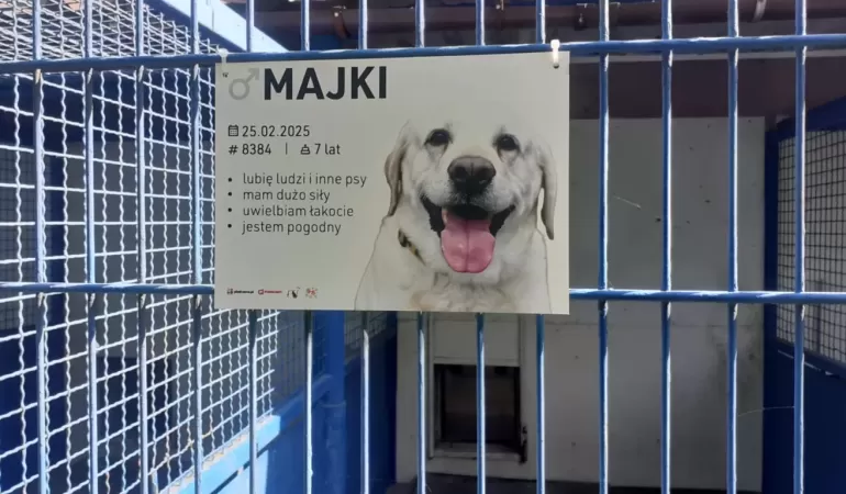 Nowe tabliczki na boksy psów w tyskim schronisku