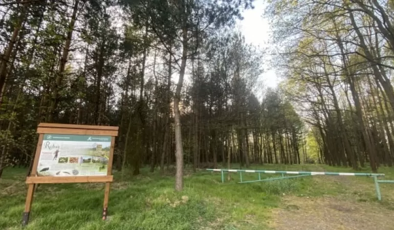 wiślana trasa rowerowa, rower, ścieżka