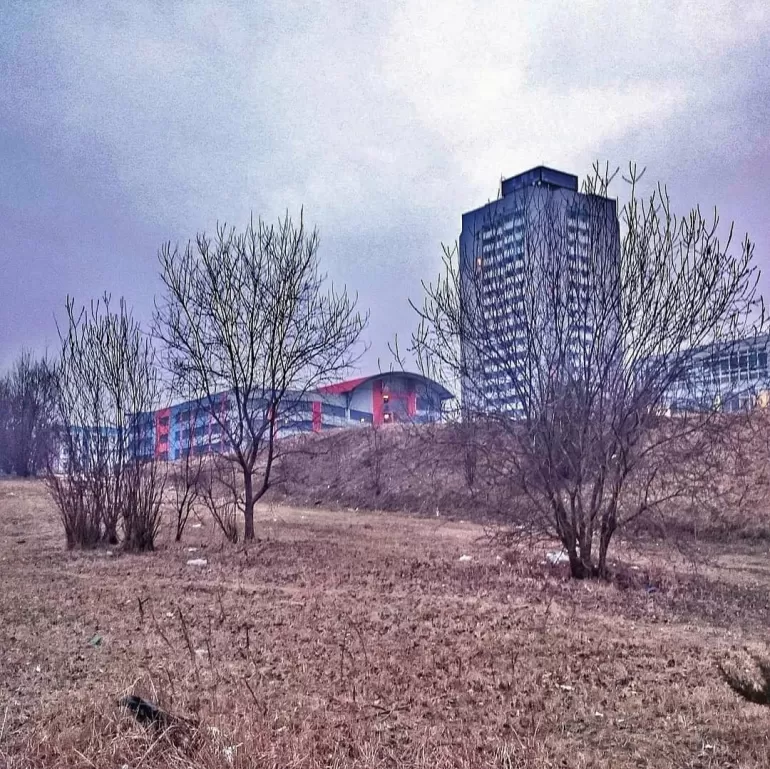 tychy,zima,wiosna,drzewa,marzec,6marca,silesia,fotodnia,instagram