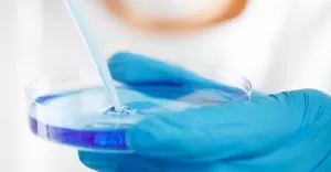 Szalka Petriego - podstawowe naczynie w mikrobiologii