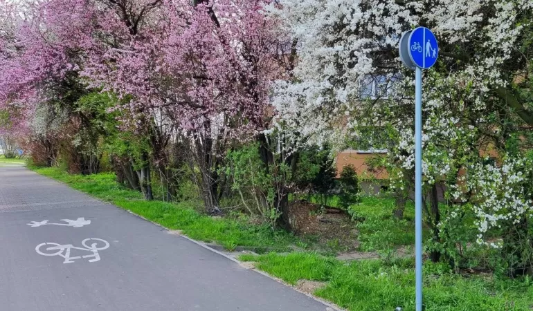 Nowe ścieżki rowerowe i chodniki w Tychach jeszcze w tym roku