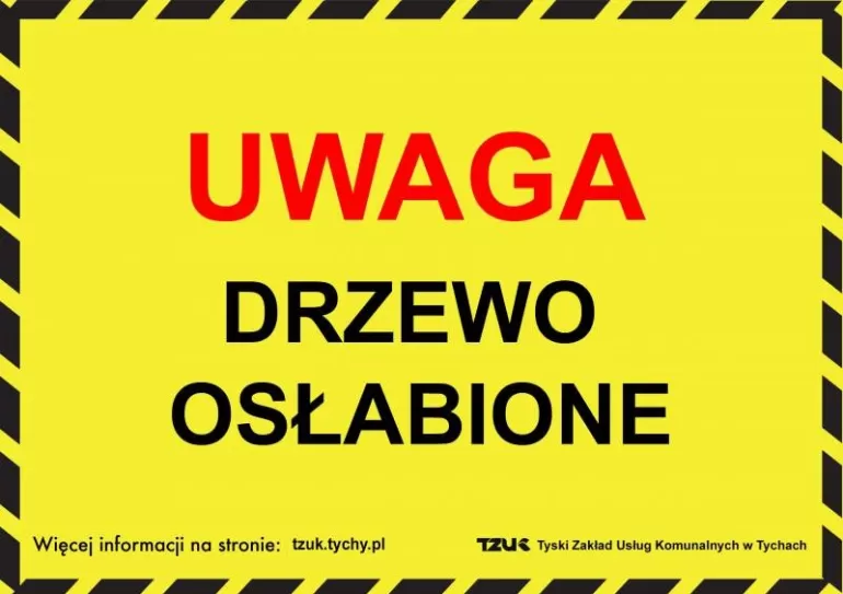 Ostrzeżenia „Uwaga, drzewo osłabione”