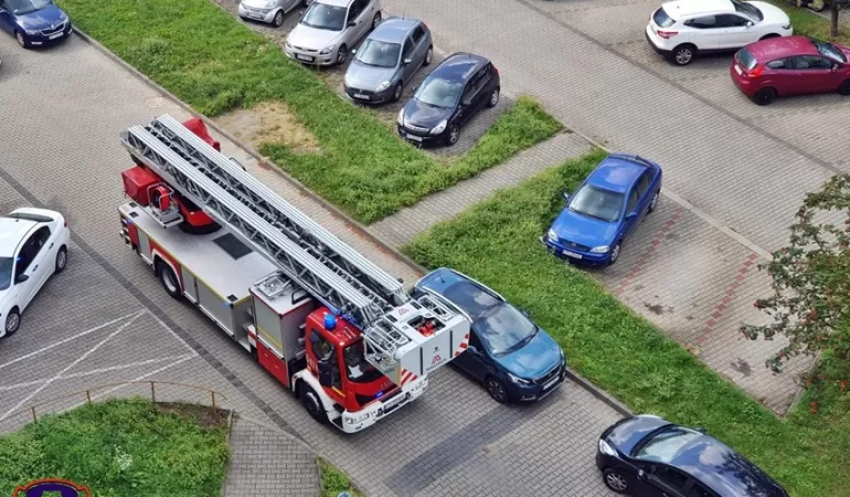 Wezwali służby, bo myśleli, że potrzebuje pomocy