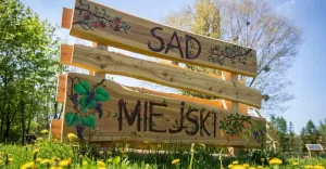 Sad miejski